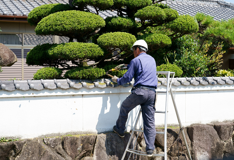 事業内容